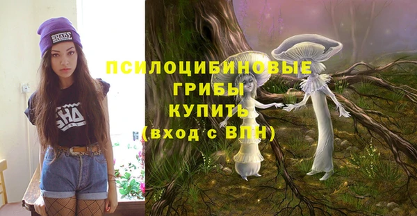 эйфоретик Кулебаки