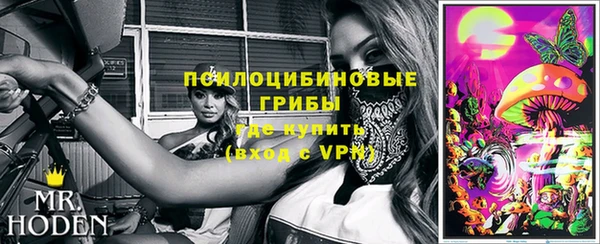 эйфоретик Кулебаки