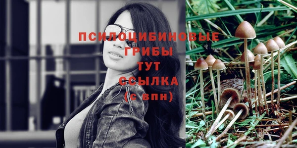 прущая мука Куйбышев